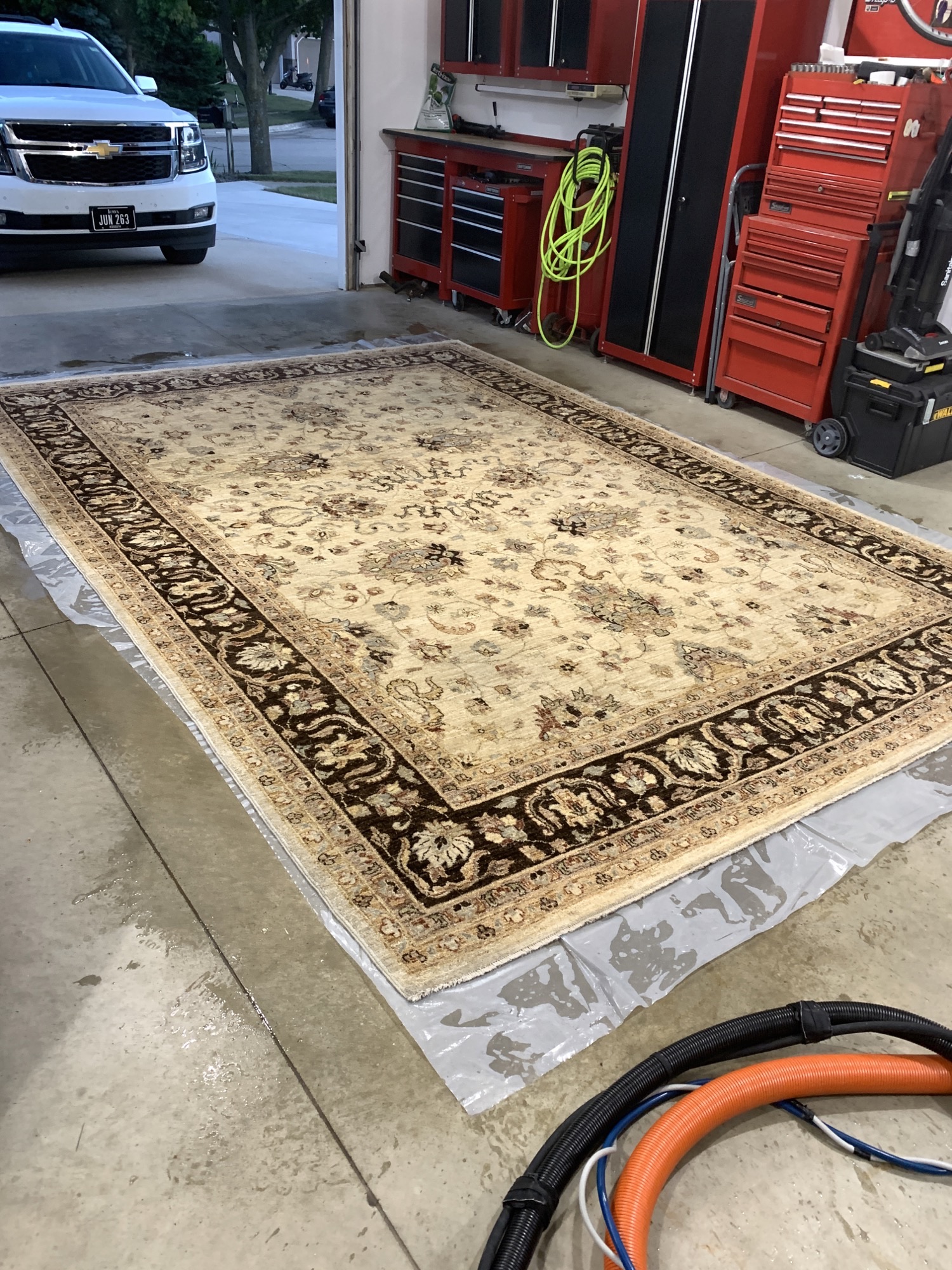 Area Rugs — photo 3