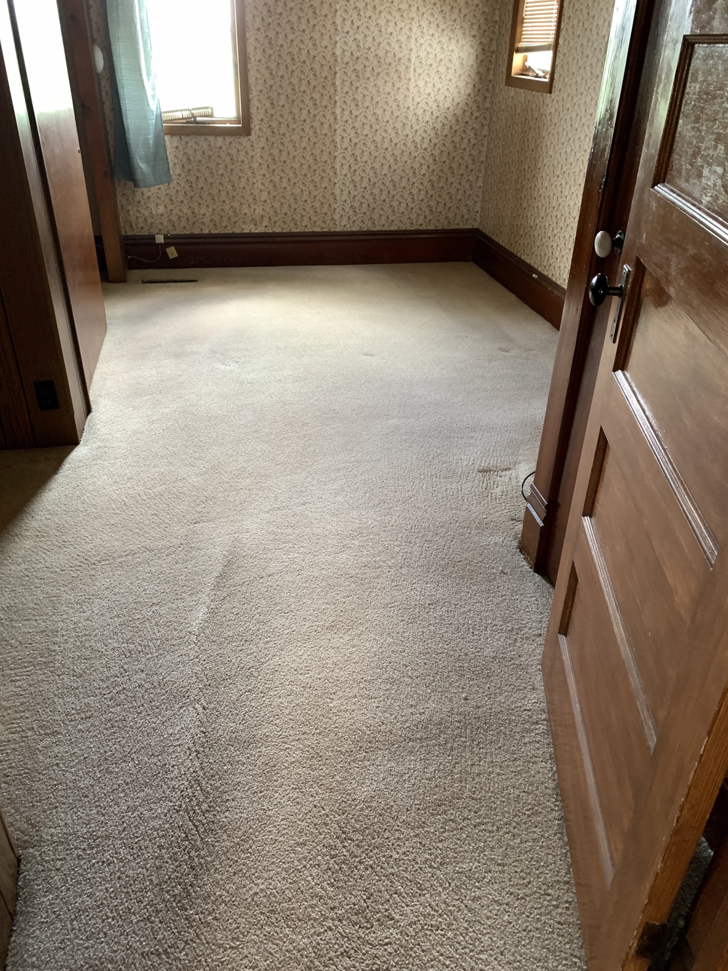 Carpet Cleaning — photo 4