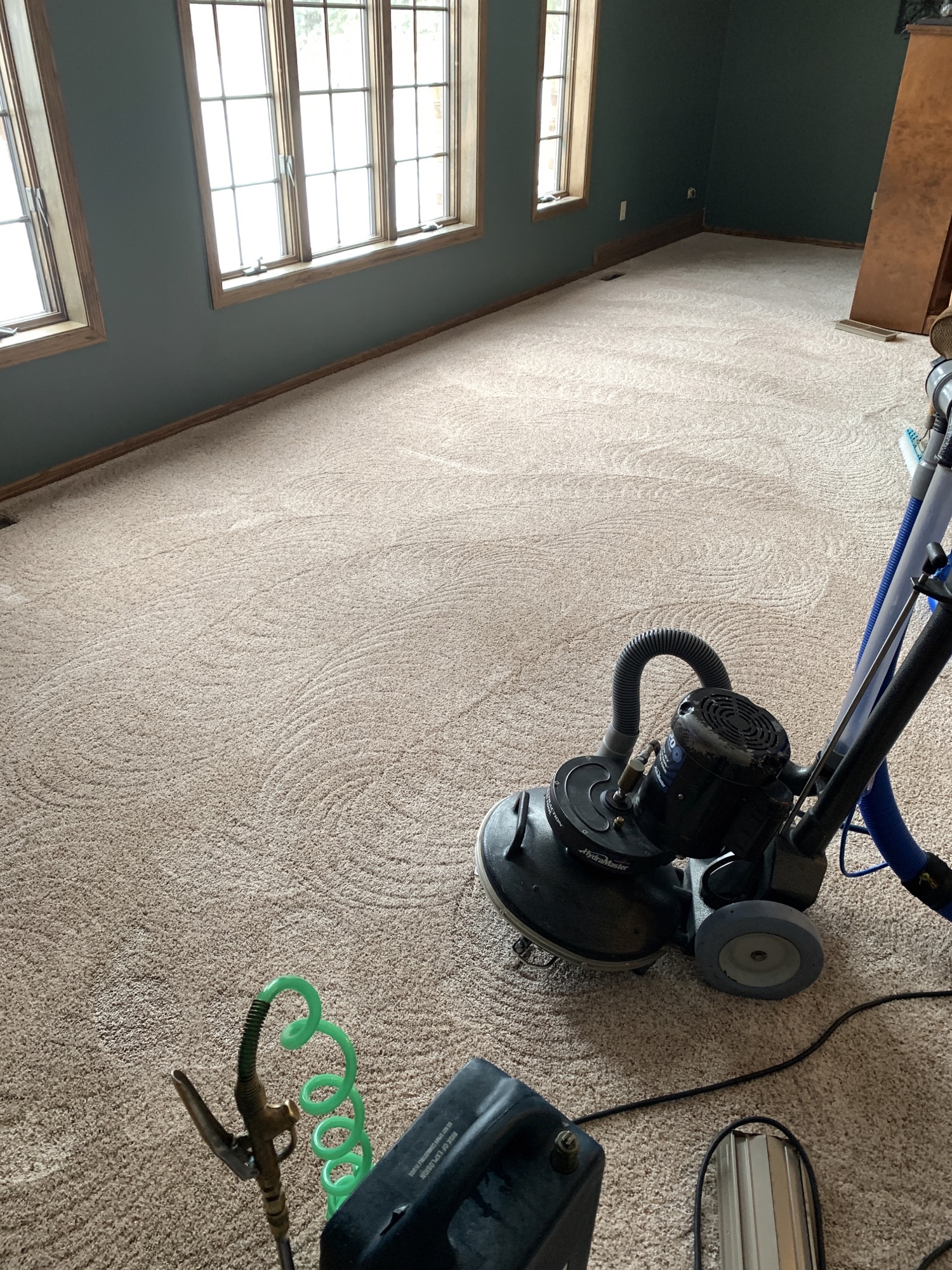 Pet Stain & Odor Removal — photo 5