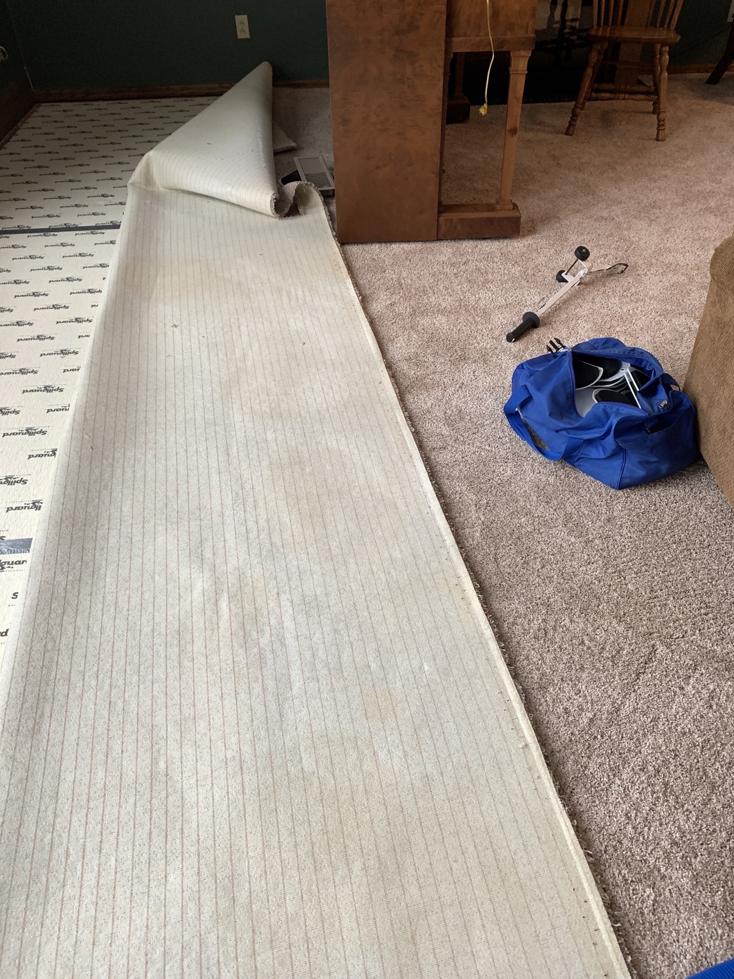 Pet Stain & Odor Removal — photo 4